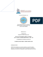 CESAP - Gestion de La Seguridad y Salud Ocupacional