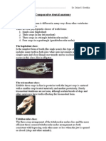 The Dentition in Human Is Different in Many Ways From Other Vertibrates in Form and Function