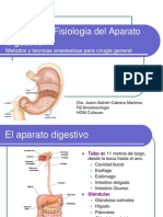 Aparato Digestivo y Anestesia para Cirugia General