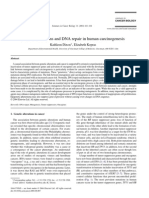 Genetic Alterations and DNA Repair in Human Carcinogenesis: Kathleen Dixon, Elizabeth Kopras