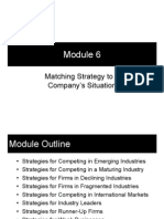 Module 6 - Matching Strategy To A Company's Situation