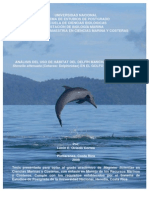 Oviedo L. (2008). Análisis del uso de hábitat del delfín manchado pantropical Stenella attenuata (Cetacea: Delphinidae) en el Golfo Dulce, Costa Rica. Master's Thesis, Universidad Nacional Costa Rica PROCMAR 