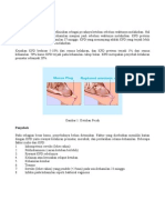 Ketuban Pecah Dini PDF