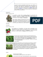 20 Plantas Medicinales