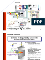 Controles de Combustión