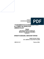 Tesis Economia Ambiental