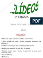 Anelideos - PPT OK.2013