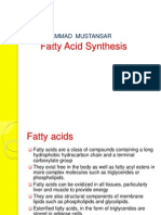 Fatty Acids Synthesis