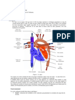 Anatomie Physilogie