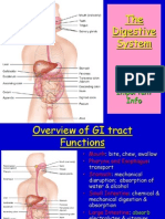 Digestive System