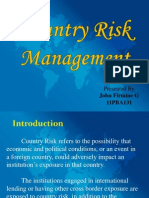 Country's Risk Management