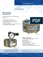 NL Back Pressure Valve Brochure 032613