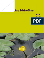 Plantas Hidrófilas PP