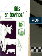 Mastitis en Bovinos Escrito Por Guillermo Mateus Valles