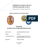 Informe de Practicas Pre Profesionales