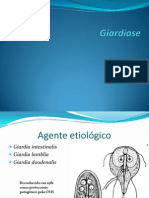 Aula 4 Giardia e Trichomonas