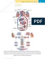 Chapter 010-Cardiovascular DX