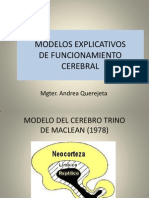 Modelos Explicativos de Funcionamiento Cerebral