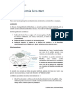 Neuroanatomía Resumen Cerebelo - Cristhián Jerez y Marcelo Ortega