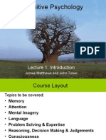 Cognitive Psychology