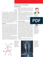 Vascular Disorders of The Posterior Circulation - An Anatomico-Clinical Overview