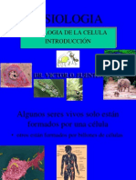 1 PPT Fisiologia Celular Introd