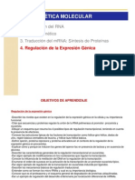 Regulación de La Expresión Génica