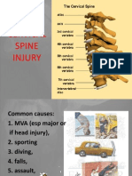 Cervical Spine Injury