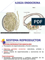 Farmacologia Endocrina