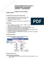 Circovirus Porcino Tipo 2 Y Enfermedades Asociadas