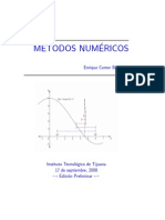 Metodos Numericos