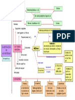 Mapa Conceptual Proteínas 2