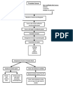 Prostate Cancer Pathophysiology