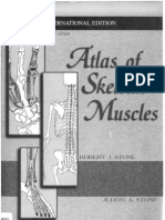 Atlas of Skeletal Muscles Stone