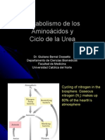 Procesos Biologicos - 15 - Ciclo de La Urea.25.05.09