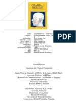 Cranial Nerves-Anatomy and Clinical Comments Wilson-Pauwels