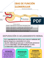 Pruebas de Función Glomerular