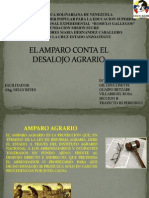 Amparo Agrario