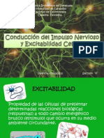 Diapositivas Conduccion Del Impulso y Excitabilidad Celular