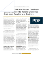 Introducing SAP NetWeaver Developer Studio