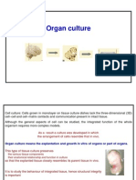 Organ Culture SMP