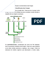 Classificação e Nomenclatura Dos Fungos