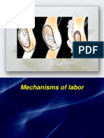 Mechanism of Labor