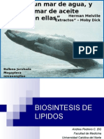 Biosintesis de Lipidos