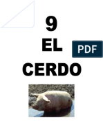 Leccion 9 CERDO