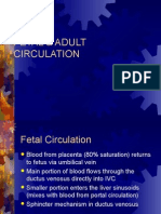 Fetal & Adult Circulation