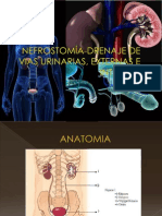 Diapos de Nefrostomia