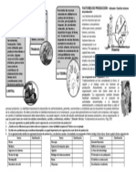 Taller de 10° Factores de Producción