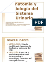 Anatomía y Fisiología Sistema Urinario