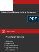 Fabrication of Nanoscale BLM Biosensors